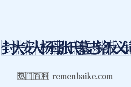 封大安人杨母张氏墓志铭反义词是什么意思的图片